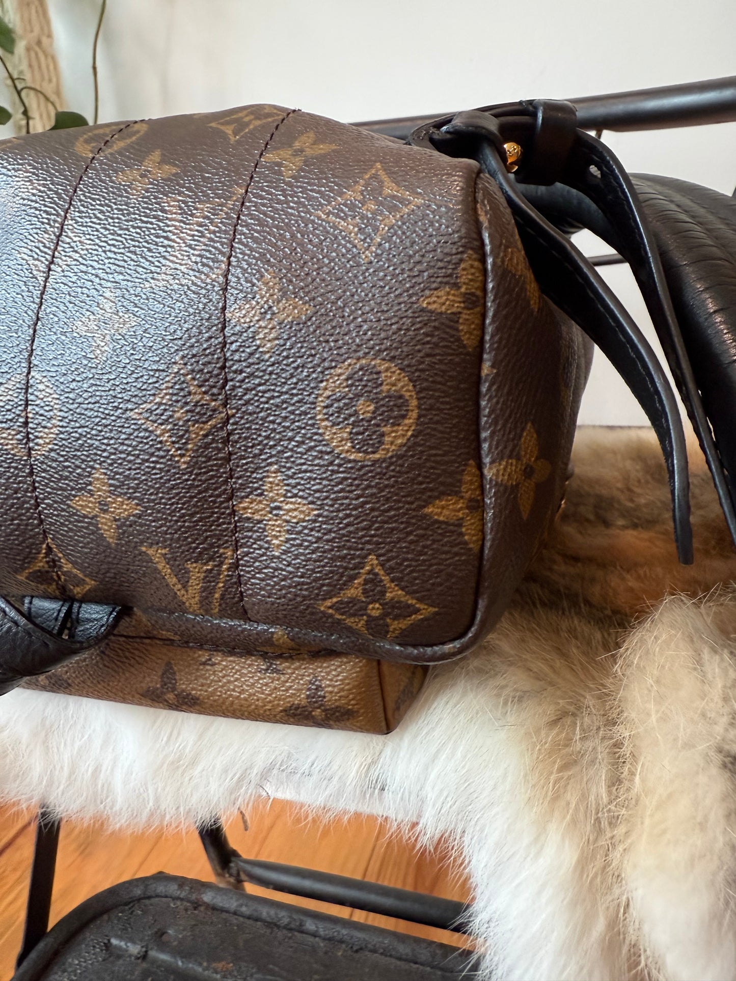 Palm Springs PM Backpack