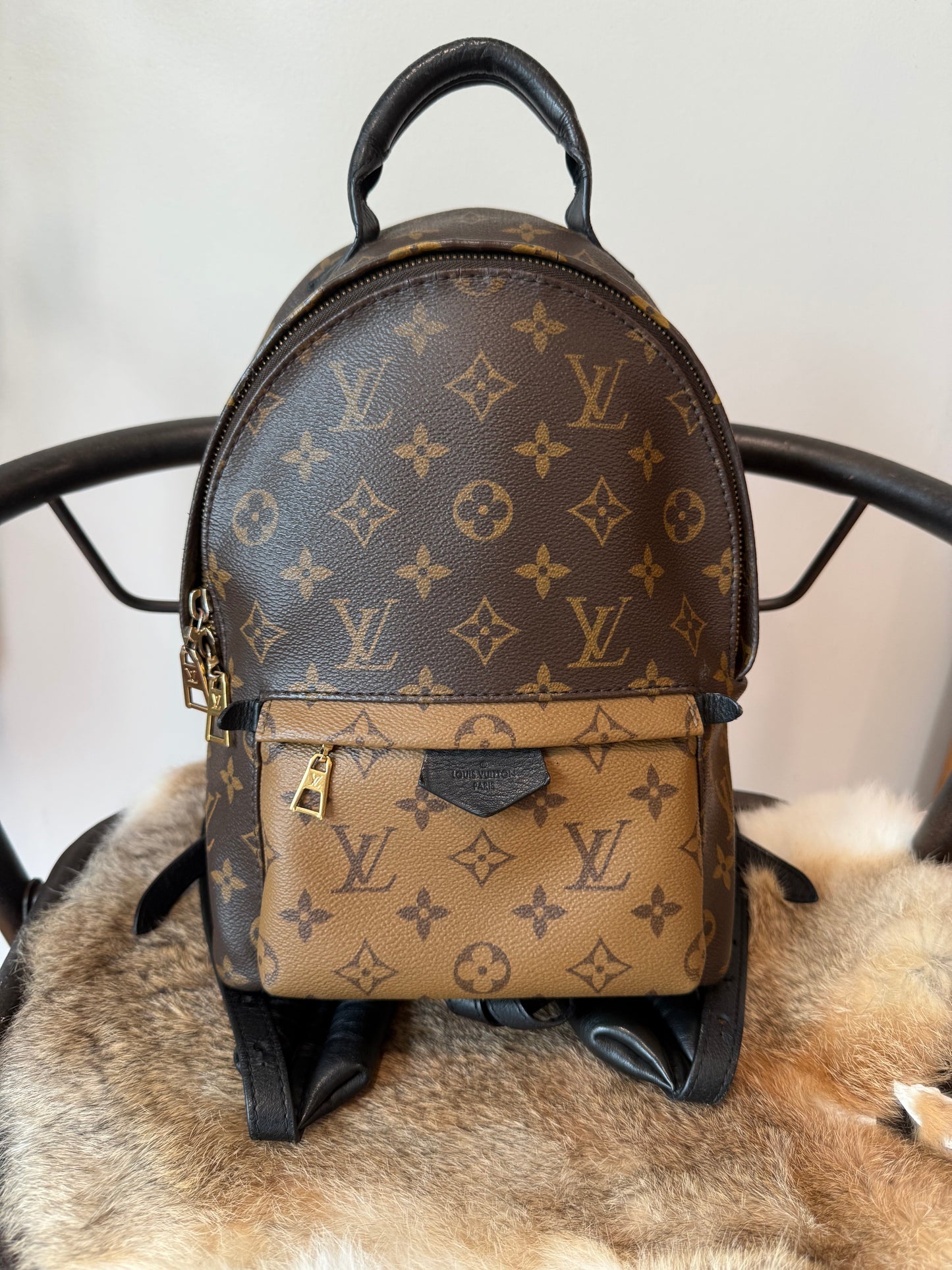 Palm Springs PM Backpack