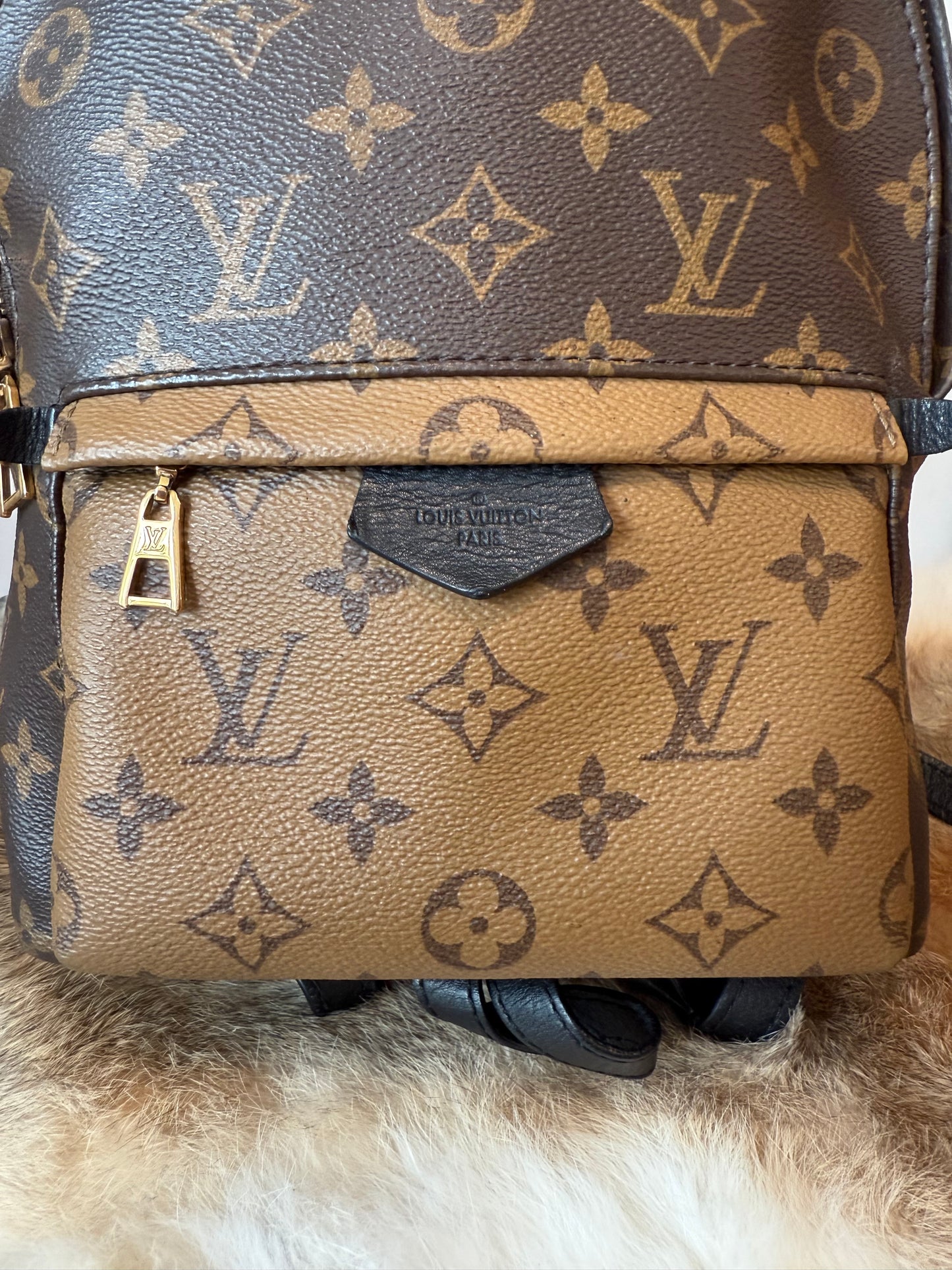 Palm Springs PM Backpack
