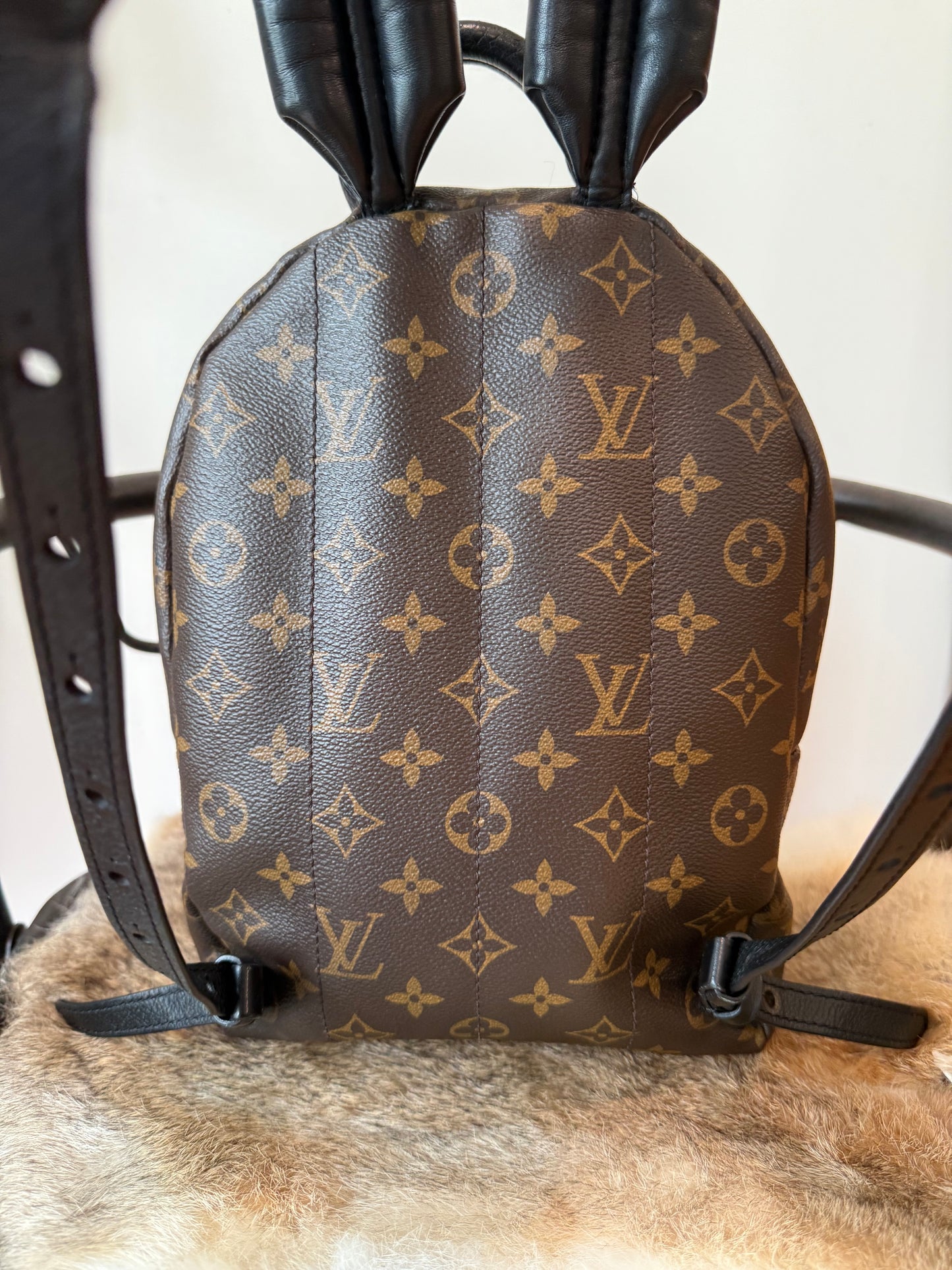 Palm Springs PM Backpack