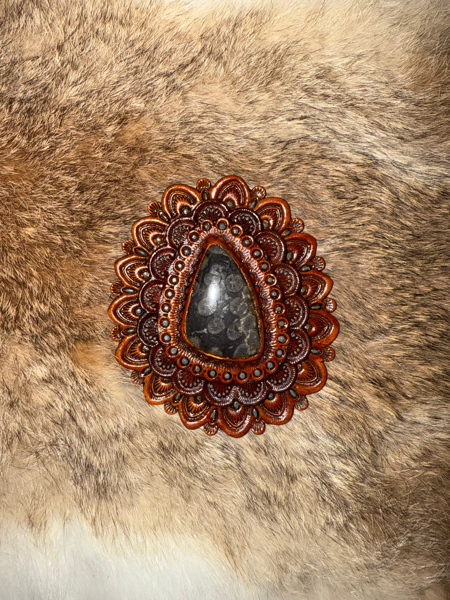 Moroccan Orthocera Concho
