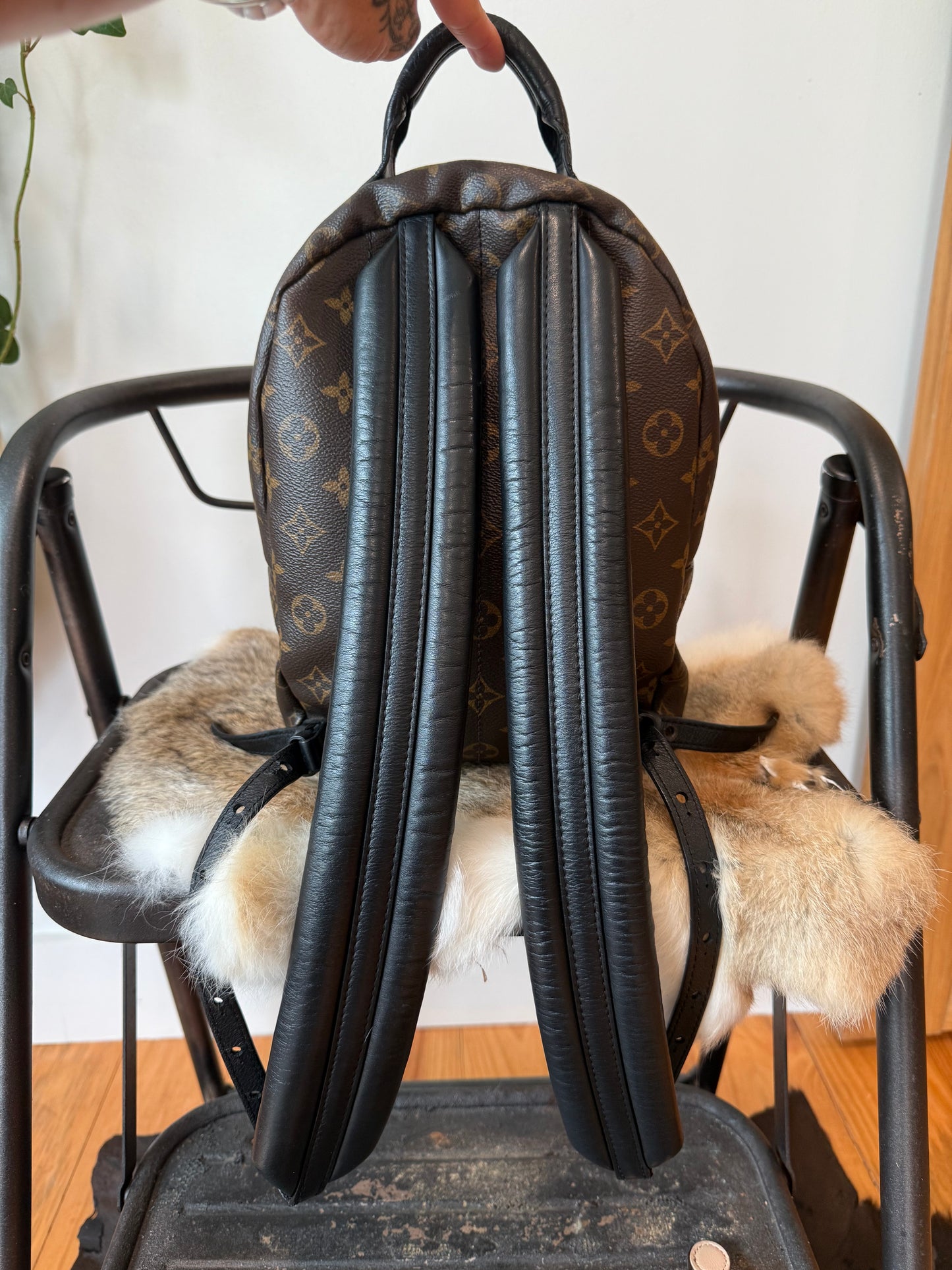 Palm Springs PM Backpack