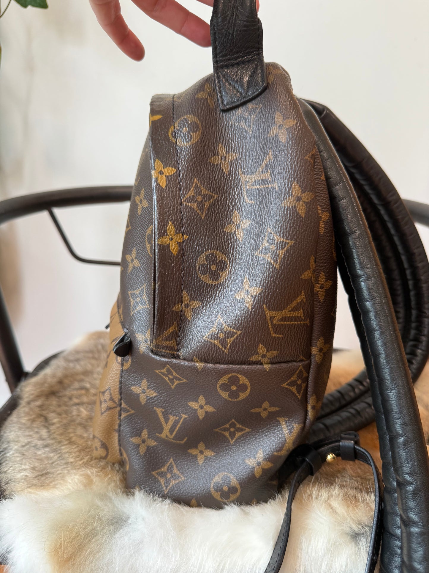 Palm Springs PM Backpack