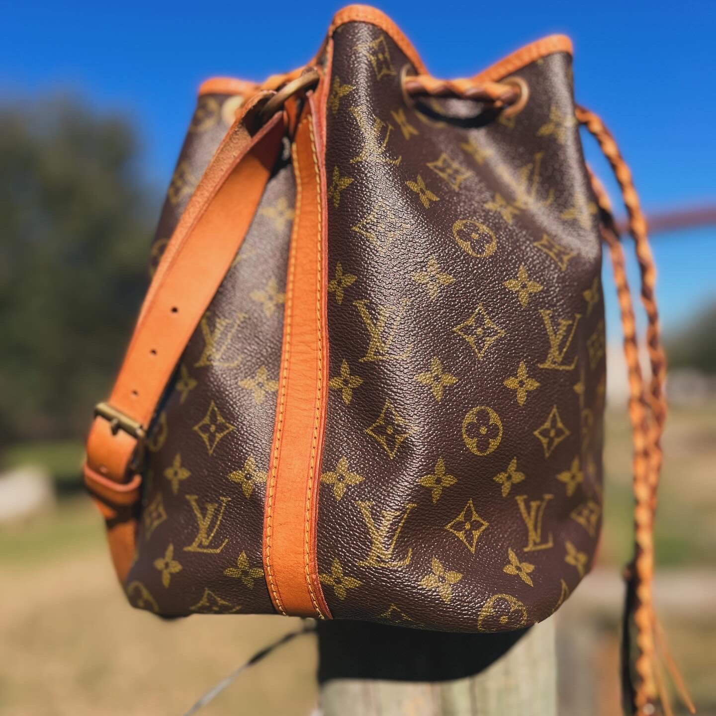 Vintage Noé Bucket Bag MM