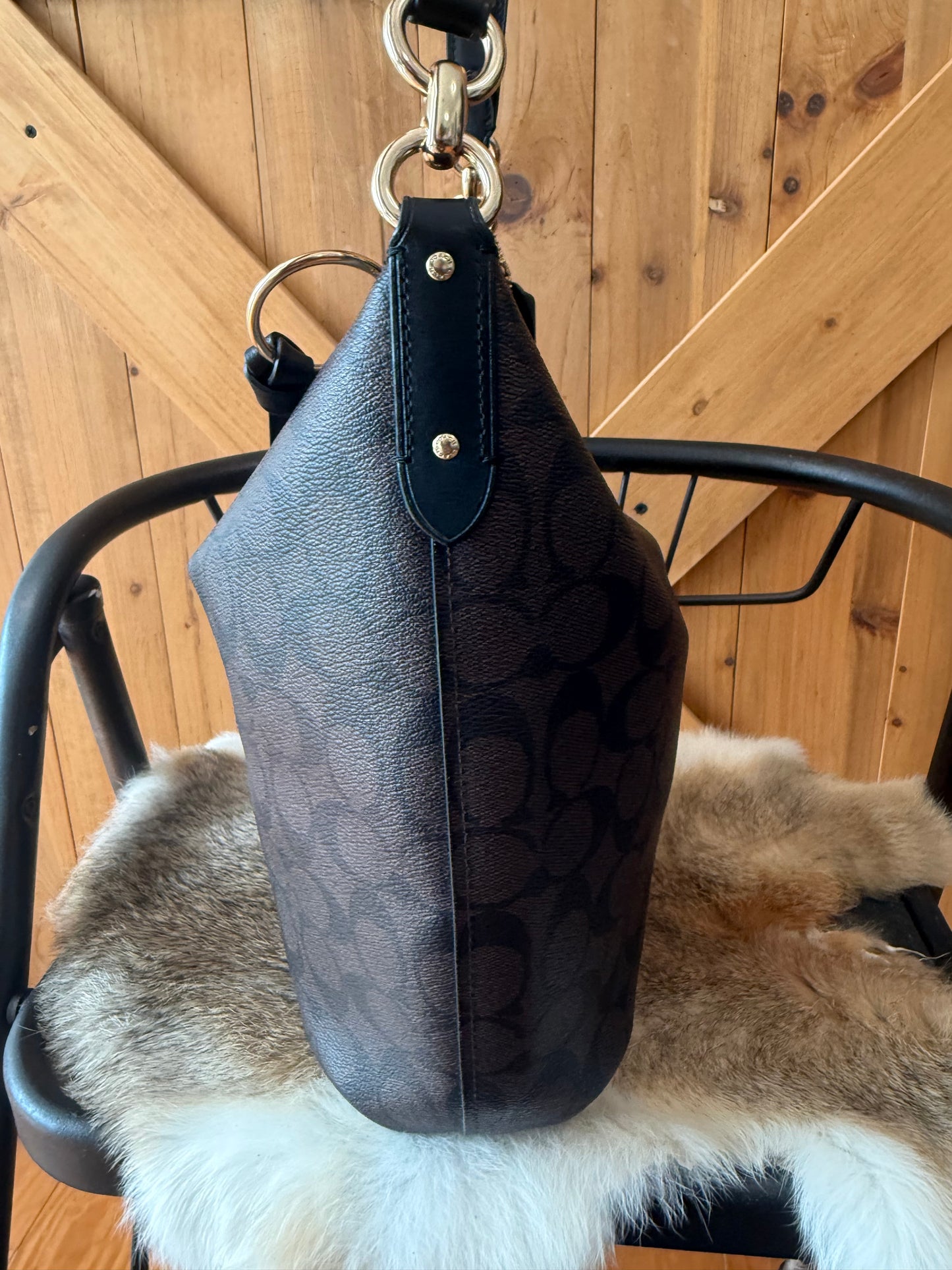 Coach Teri Hobo Bag