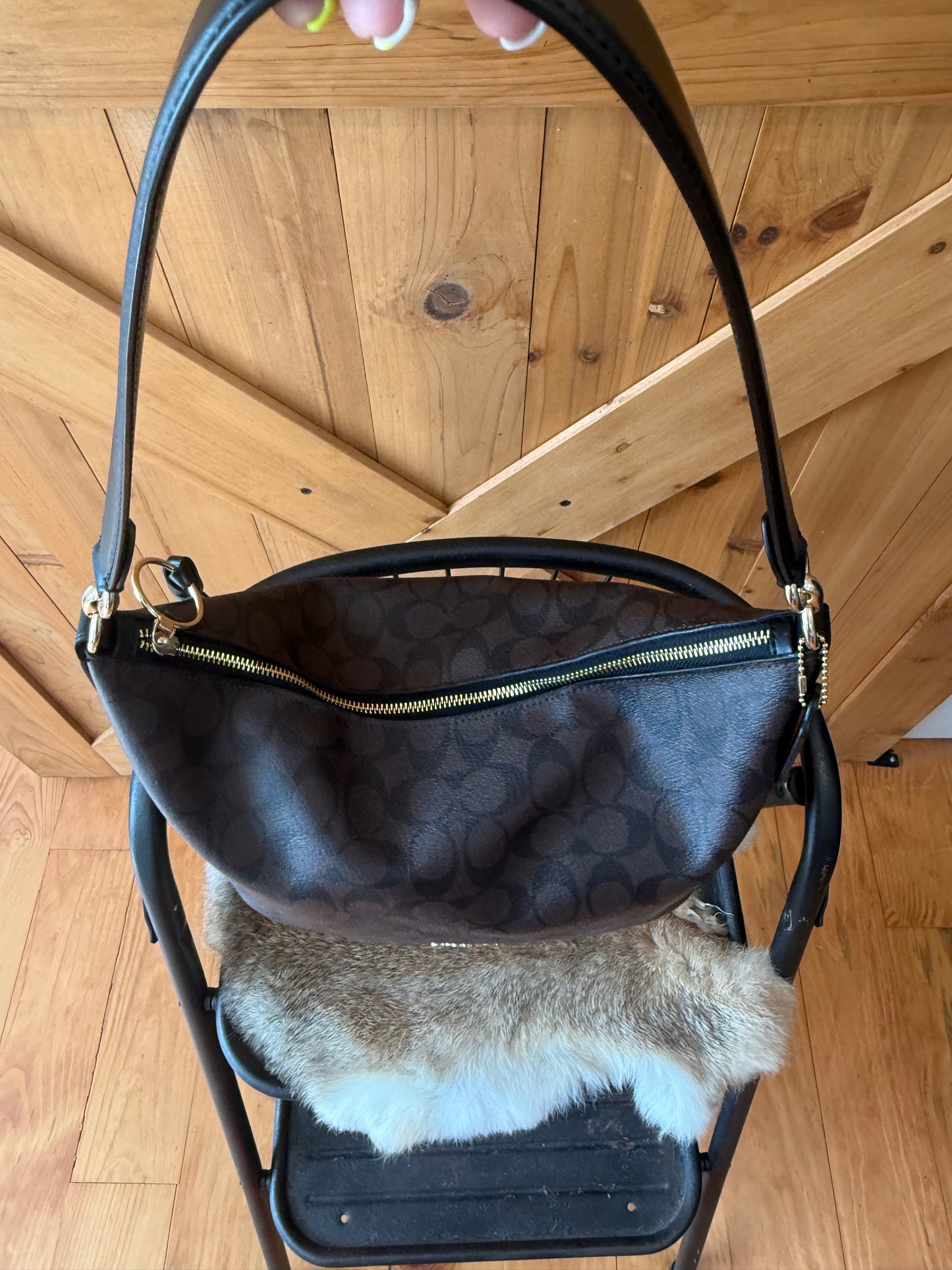 Coach Teri Hobo Bag
