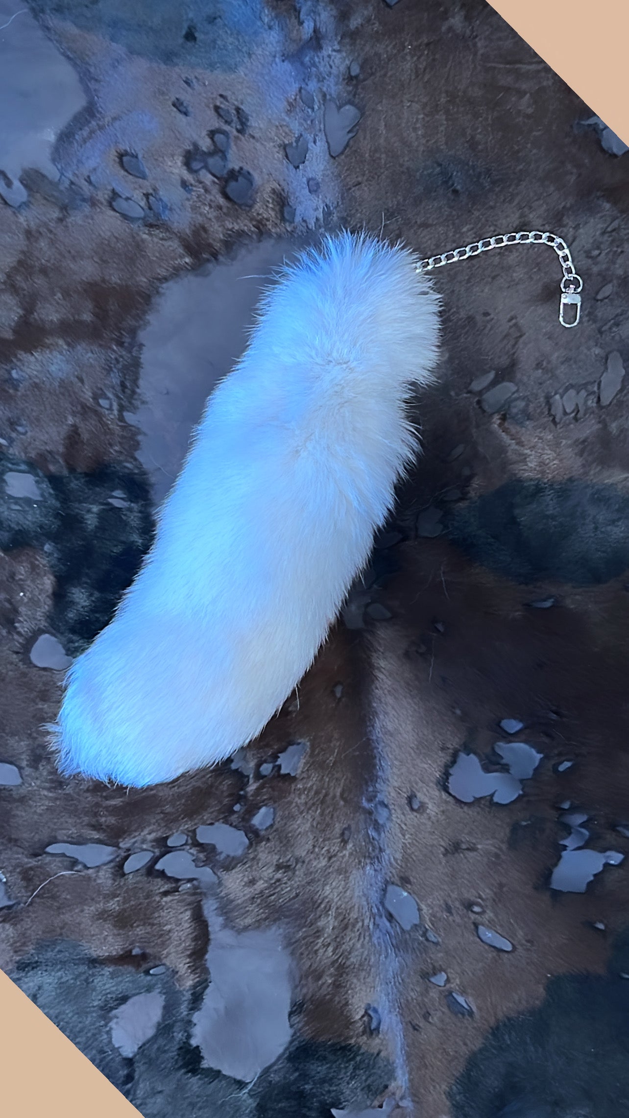 Real Foxtail