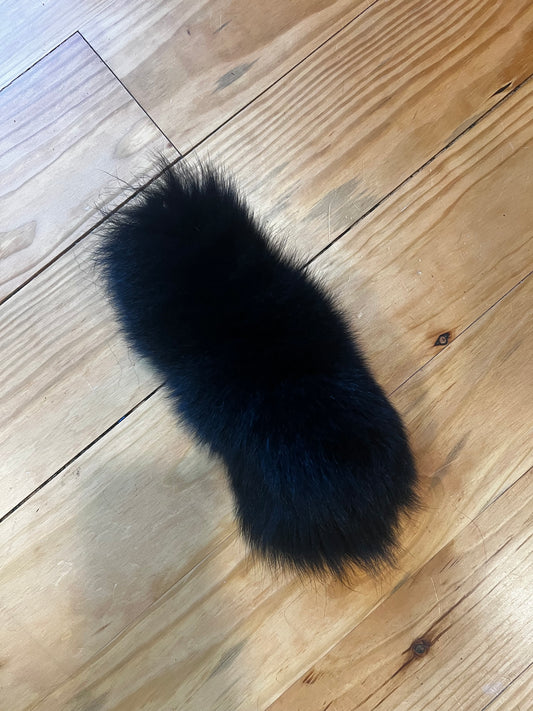 Black foxtail