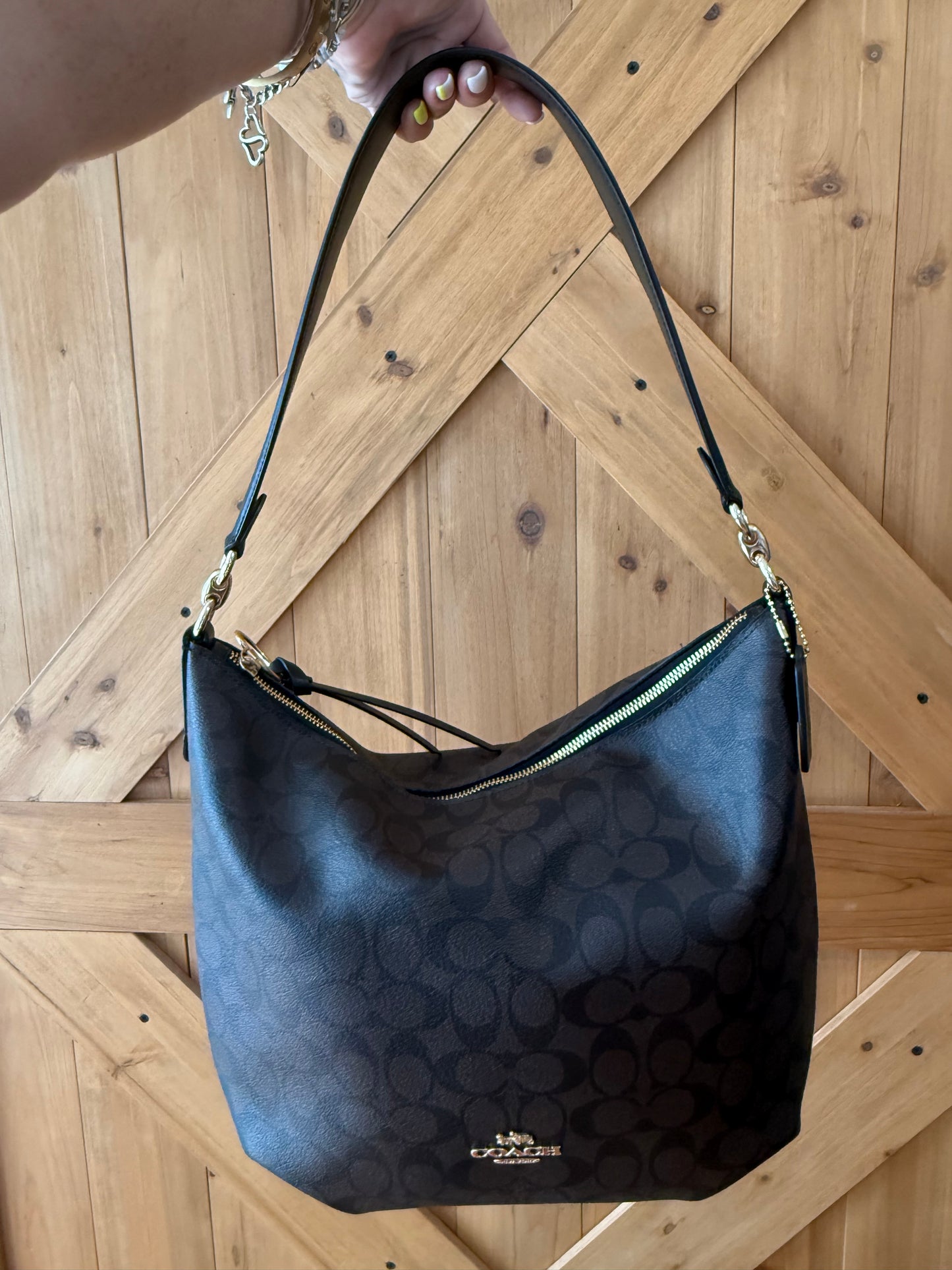 Coach Teri Hobo Bag